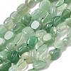 Natural Green Aventurine Beads Strands G-P601-A07-02-2