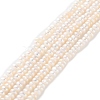 Natural Cultured Freshwater Pearl Beads Strands PEAR-I007-02H-01-2