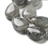 Natural Labradorite Beads Strands G-P528-L03-01-4