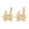 Brass Micro Pave Cubic Zirconia Pendants CU-CBA415D-09G-02-1