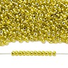 TOHO 8/0 Round Beads X-SEED-TR08-1013-4