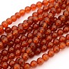 Gemstone Beads Strands GSR8MM060-1-1