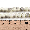 Baking Paint Glass Beads Strands DGLA-N013-8mm-02-4