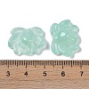 Baking Paint Glass Beads X-GLAA-S202-13G-3