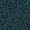 MIYUKI Round Rocailles Beads X-SEED-G007-RR2406-3