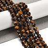 Natural Tiger Eye Beads Strands G-B107-A02-08-4