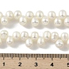 Natural Cultured Freshwater Pearl Beads Strands PEAR-A006-24-5