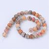 Natural Crazy Lace Agate Beads Strands G-Q462-10mm-12-2