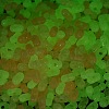 Luminous Transparent Acrylic Beads LACR-D009-01F-3