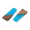 Resin & Wood Pendants WOOD-F015-04G-2