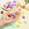60Pcs 2 Styles Acrylic Pendants MACR-YW0004-75-3