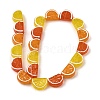 Handmade Lampwork Beads LAMP-S079-12-2