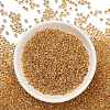 TOHO Round Beads X-SEED-TR11-0701-3