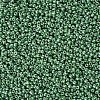 (Repacking Service Available) Glass Seed Beads SEED-C021-4mm-127-2