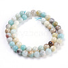 Natural Flower Amazonite Beads Strand G-E487-49-6MM-2