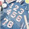  11Pcs Number 0~9 & Flat Tennis Shaped Towel Embroidery Style Cotton Iron on/Sew on Patches DIY-NB0007-60-2