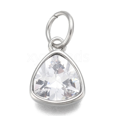 304 Stainless Steel Cubic Zirconia Pendant X-ZIRC-P080-B09-1