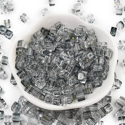 Spray Painted Glass Seed Beads SEED-A034-01G-1