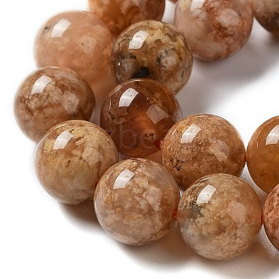Natural Flower Agate Beads Strands G-B044-A01-02-1