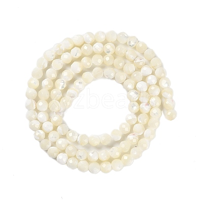 Shell Beads Strands SSHEL-E571-38-4mm-1