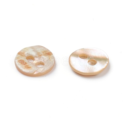 Abalone Shell/Paua Shell BSHE-I011-04E-1