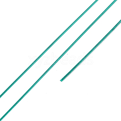 7-Strand Round Nylon Coated Steel Wire TWIR-T002-01B-07-1