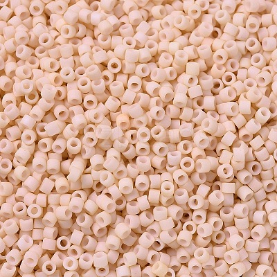 MIYUKI Delica Beads X-SEED-J020-DB0354-1