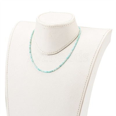 Natural Gemstone Beaded Necklaces NJEW-JN03315-1