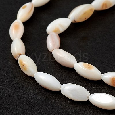 Natural Freshwater Shell Dyed Beads Strands SHEL-M018-13-13-1