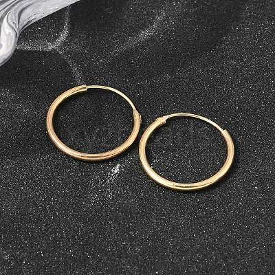 Brass Hoop Earrings EJEW-G474-01G-03-1
