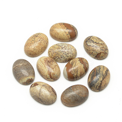 Natural Picture Jasper Cabochons G-R415-13x18-42-1