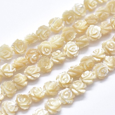 Shell Bead Strands SSHEL-P015-01B-12mm-1