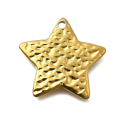 304 Stainless Steel Pendants STAS-Z163-01G-01-1