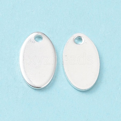 304 Stainless Steel Charms STAS-L234-065A-S-1
