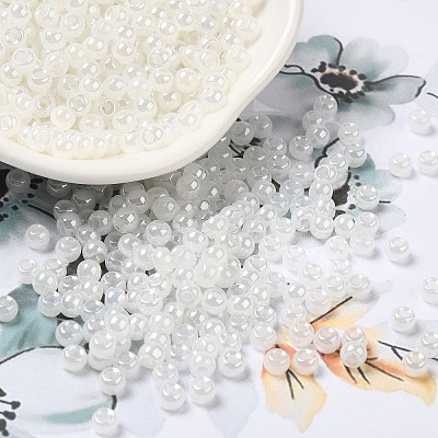 Glass Seed Beads SEED-H002-E-A141-1