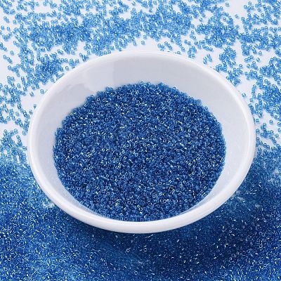 MIYUKI Delica Beads X-SEED-J020-DB1895-1