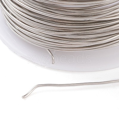 Non-Tarnish 316 Surgical Stainless Steel Wire TWIR-L004-01B-P-1