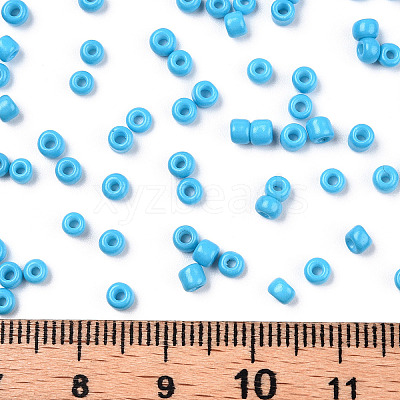 Baking Paint Glass Seed Beads SEED-S001-K10-1