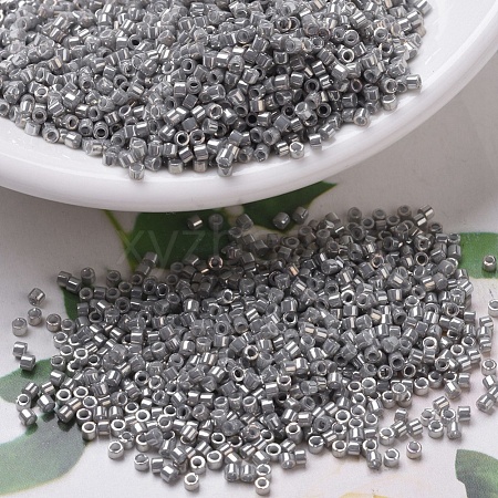 MIYUKI Delica Beads SEED-JP0008-DB0251-1