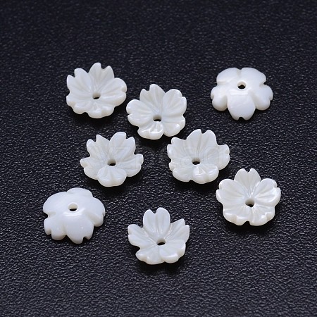 5-Petal Flower Natural Freshwater Shell Beads SSHEL-P005-20-1