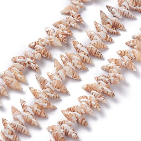Natural Spiral Shell Beads Strands X-BSHE-I016-08-1