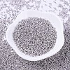 MIYUKI Delica Beads SEED-MY11-DB0429-2