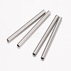 Tarnish Resistant 304 Stainless Steel Tube Beads STAS-G071-34P-1