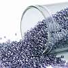 TOHO Round Seed Beads SEED-JPTR15-0206-1