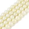 Baking Paint Glass Pearl Beads Strands DGLA-ZX001-05A-04-1