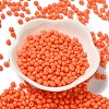 6/0 Opaque Baking Paint Glass Seed Beads SEED-M012-02A-05-2