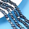 Natural Cultured Freshwater Pearl Beads Strands PEAR-P002-54A-6