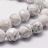 Natural Howlite Beads Strands G-D840-44-8mm-3