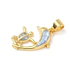 Brass Enamel Pendants KK-H534-01A-G01-2