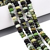 Natural Serpentine Beads Strands G-N367-02A-14-1